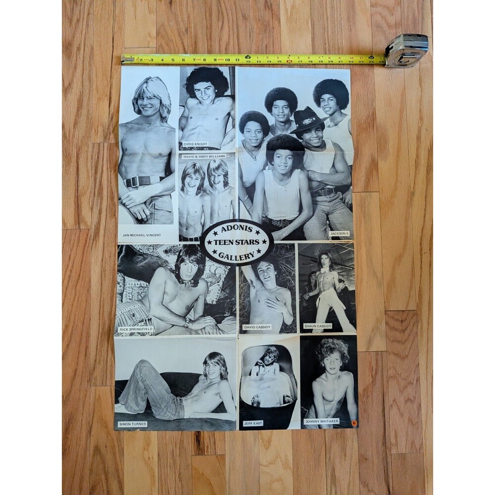 Vintage Teen Hunk Shirtless Poster David Cassidy Donny Osmond 22 x 34 *flaws*